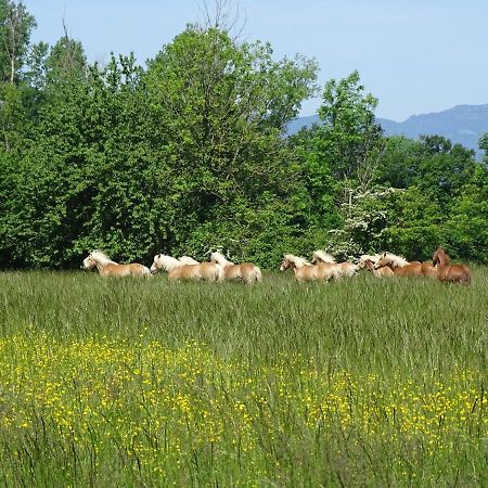 La Caracole Ξενοδοχείο Arbusigny Εξωτερικό φωτογραφία